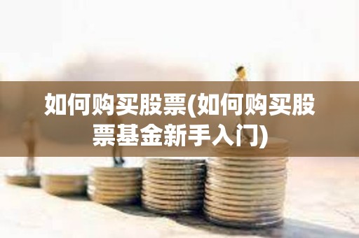 如何购买股票(如何购买股票基金新手入门)