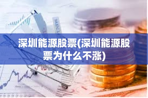 深圳能源股票(深圳能源股票为什么不涨)