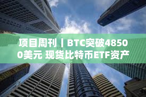 项目周刊丨BTC突破48500美元 现货比特币ETF资产管理规模达100亿美元里程碑