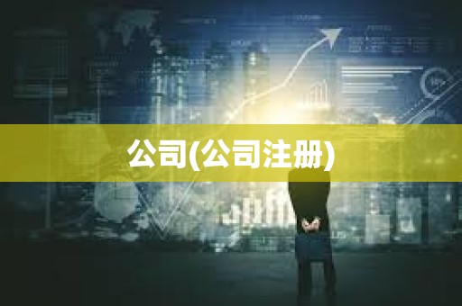 公司(公司注册)