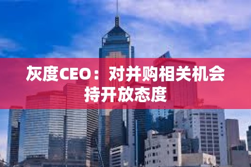 灰度CEO：对并购相关机会持开放态度