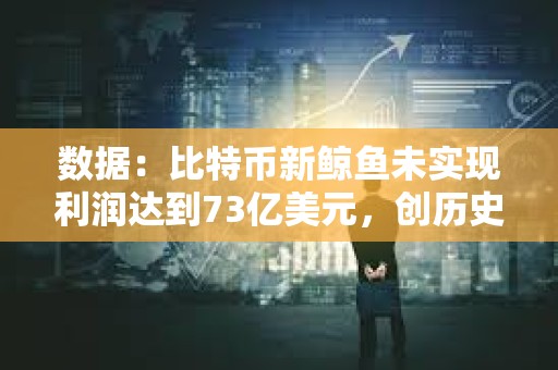 数据：比特币新鲸鱼未实现利润达到73亿美元，创历史新高