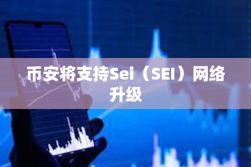 币安将支持Sei（SEI）网络升级