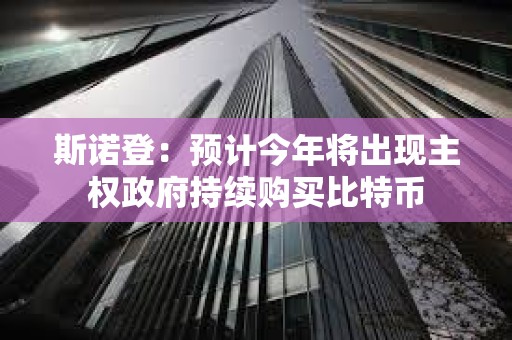 斯诺登：预计今年将出现主权政府持续购买比特币