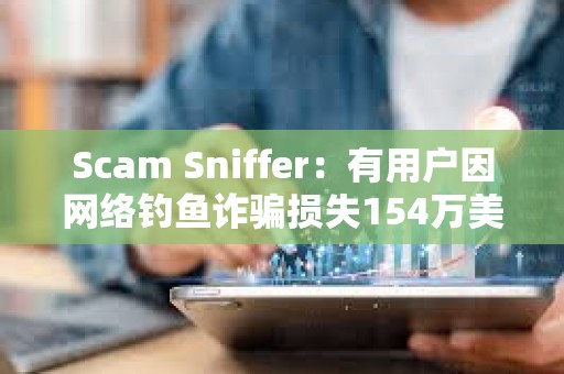 Scam Sniffer：有用户因网络钓鱼诈骗损失154万美元