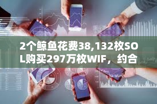 2个鲸鱼花费38,132枚SOL购买297万枚WIF，约合500万美元