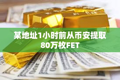 某地址1小时前从币安提取80万枚FET