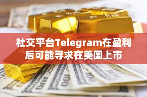 社交平台Telegram在盈利后可能寻求在美国上市