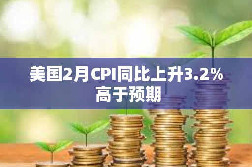 美国2月CPI同比上升3.2% 高于预期