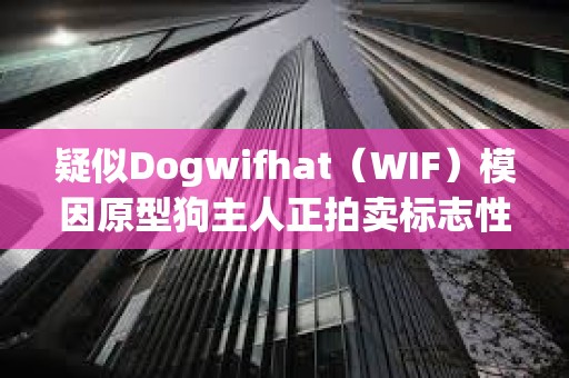 疑似Dogwifhat（WIF）模因原型狗主人正拍卖标志性照片NFT