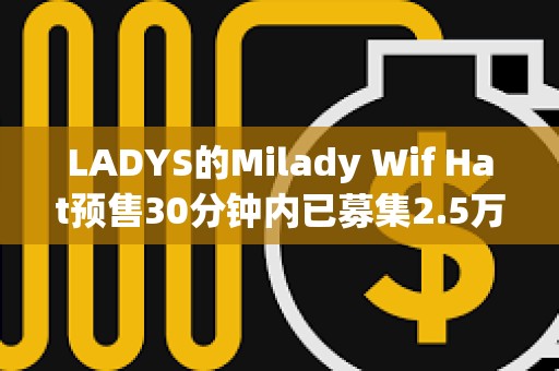 LADYS的Milady Wif Hat预售30分钟内已募集2.5万枚SOL