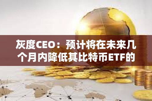 灰度CEO：预计将在未来几个月内降低其比特币ETF的费用
