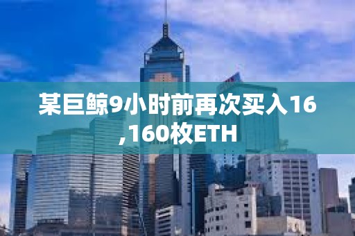 某巨鲸9小时前再次买入16,160枚ETH