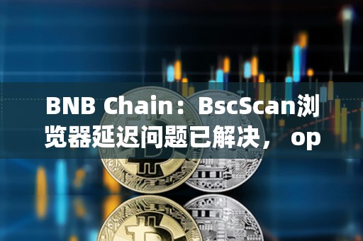 BNB Chain：BscScan浏览器延迟问题已解决， opBNB仍在处理