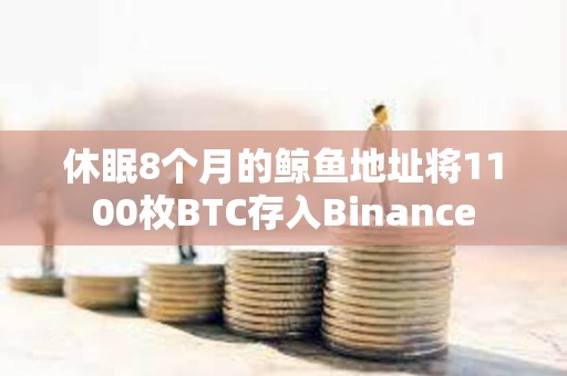 休眠8个月的鲸鱼地址将1100枚BTC存入Binance