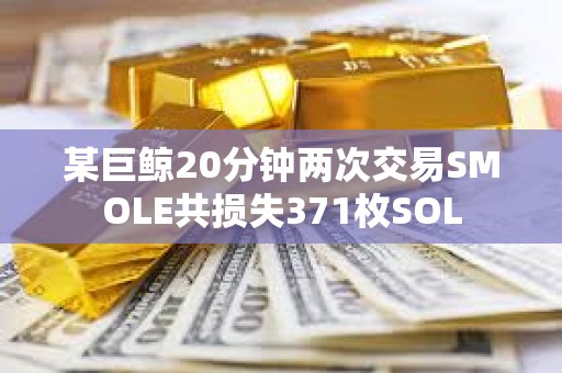 某巨鲸20分钟两次交易SMOLE共损失371枚SOL