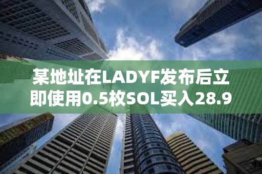某地址在LADYF发布后立即使用0.5枚SOL买入28.9亿枚，目前获利超30万美元