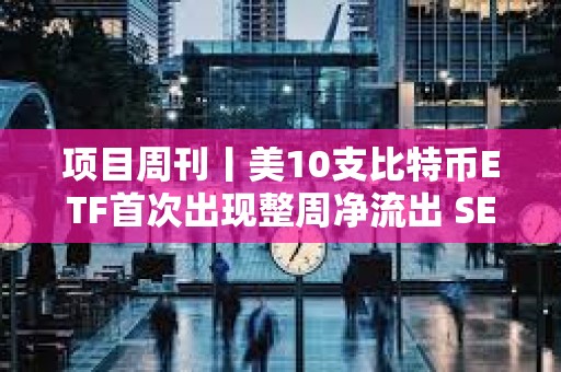 项目周刊丨美10支比特币ETF首次出现整周净流出 SEC发起将以太坊归类为证券的法律运动