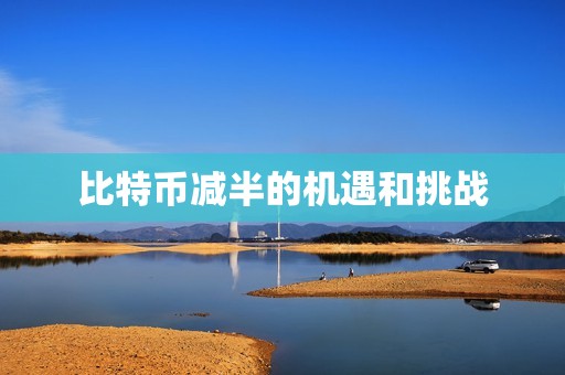 比特币减半的机遇和挑战