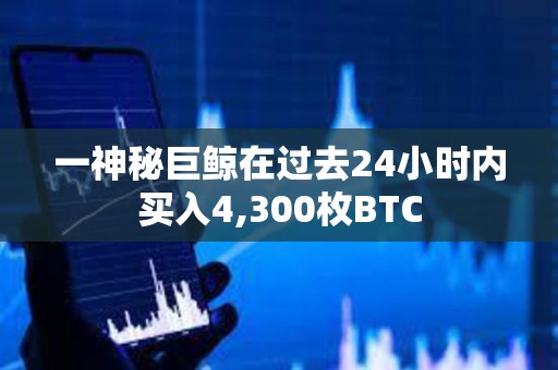 一神秘巨鲸在过去24小时内买入4,300枚BTC