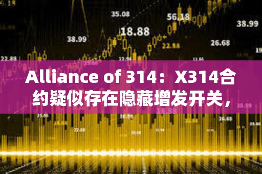 Alliance of 314：X314合约疑似存在隐藏增发开关，开发者应注意验证