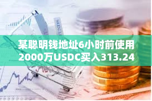 某聪明钱地址6小时前使用2000万USDC买入313.24枚WBTC