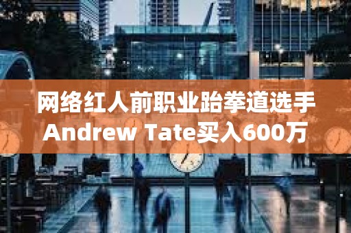 网络红人前职业跆拳道选手Andrew Tate买入600万美元Gamestop股票