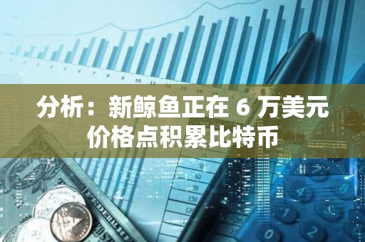 分析：新鲸鱼正在 6 万美元价格点积累比特币