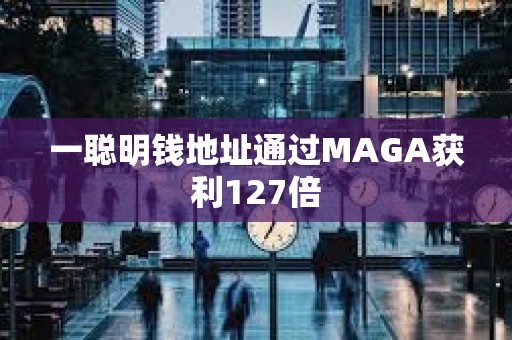 一聪明钱地址通过MAGA获利127倍