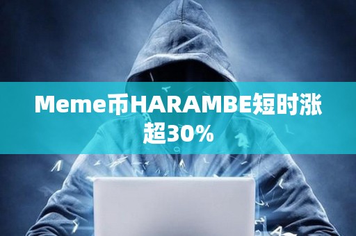 Meme币HARAMBE短时涨超30%