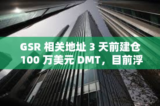 GSR 相关地址 3 天前建仓 100 万美元 DMT，目前浮盈 24%