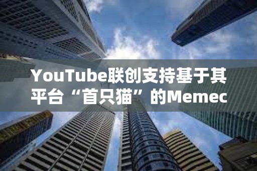 YouTube联创支持基于其平台“首只猫”的Memecoin