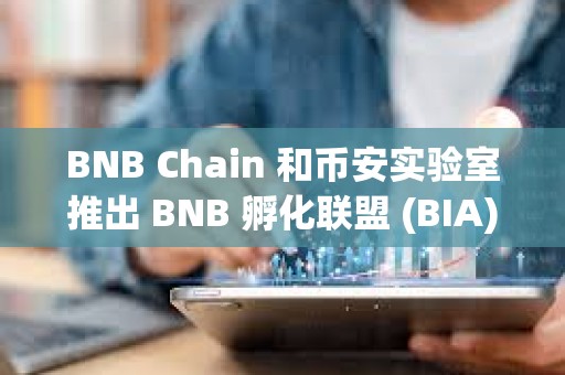 BNB Chain 和币安实验室推出 BNB 孵化联盟 (BIA)