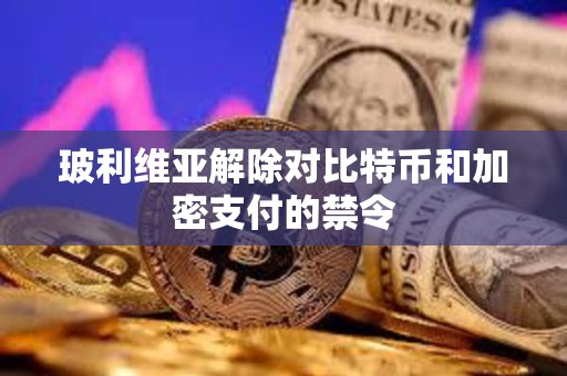 玻利维亚解除对比特币和加密支付的禁令