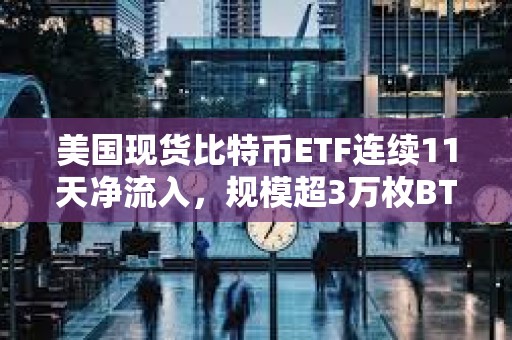 美国现货比特币ETF连续11天净流入，规模超3万枚BTC