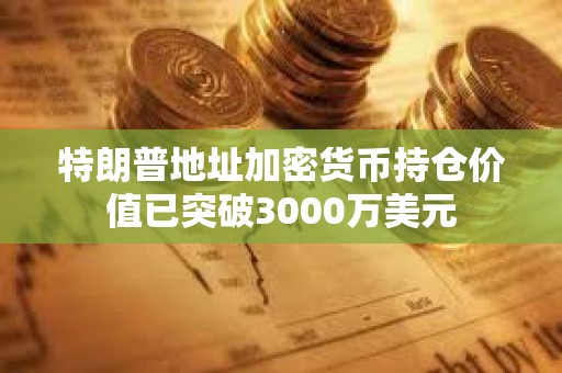 特朗普地址加密货币持仓价值已突破3000万美元