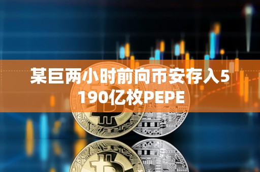 某巨两小时前向币安存入5190亿枚PEPE