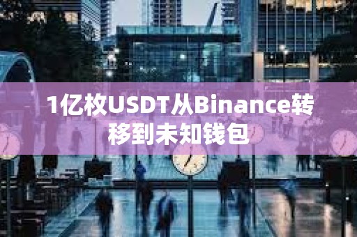 1亿枚USDT从Binance转移到未知钱包