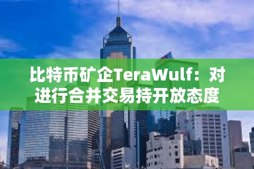 比特币矿企TeraWulf：对进行合并交易持开放态度