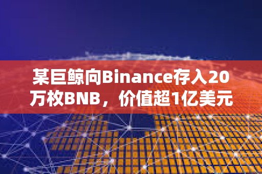 某巨鲸向Binance存入20万枚BNB，价值超1亿美元