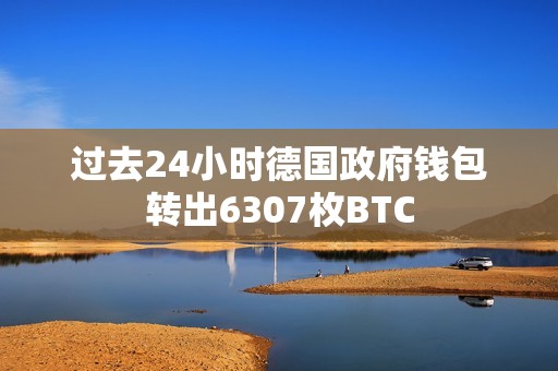 过去24小时德国政府钱包转出6307枚BTC