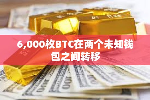 6,000枚BTC在两个未知钱包之间转移