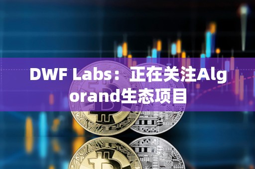 DWF Labs：正在关注Algorand生态项目