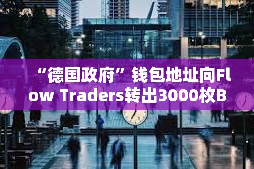 “德国政府”钱包地址向Flow Traders转出3000枚BTC