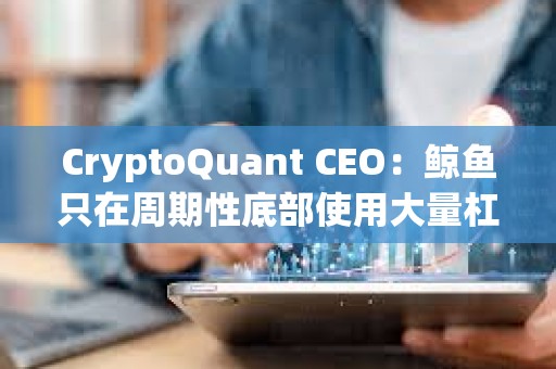 CryptoQuant CEO：鲸鱼只在周期性底部使用大量杠杆，当前市场并未过度杠杆化
