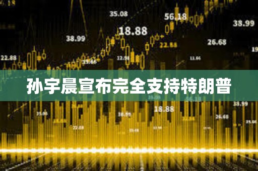 孙宇晨宣布完全支持特朗普