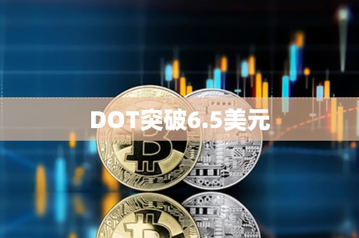 DOT突破6.5美元