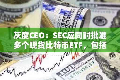 灰度CEO：SEC应同时批准多个现货比特币ETF，包括批准GBTC转换