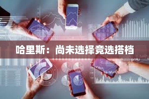 哈里斯：尚未选择竞选搭档