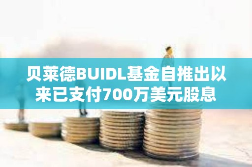 贝莱德BUIDL基金自推出以来已支付700万美元股息